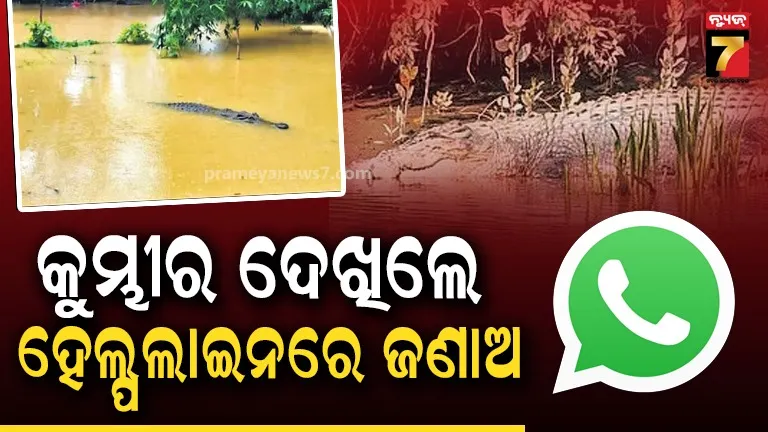 ମଣିଷ- କୁମ୍ଭୀର ସଂଘର୍ଷ ରୋକିବାକୁ ବନ ବିଭାଗର ପଦକ୍ଷେପ, ହେଲ୍ପଲାଇନରେ ସୂଚନା ଦେବାକୁ ଅନୁରୋଧ