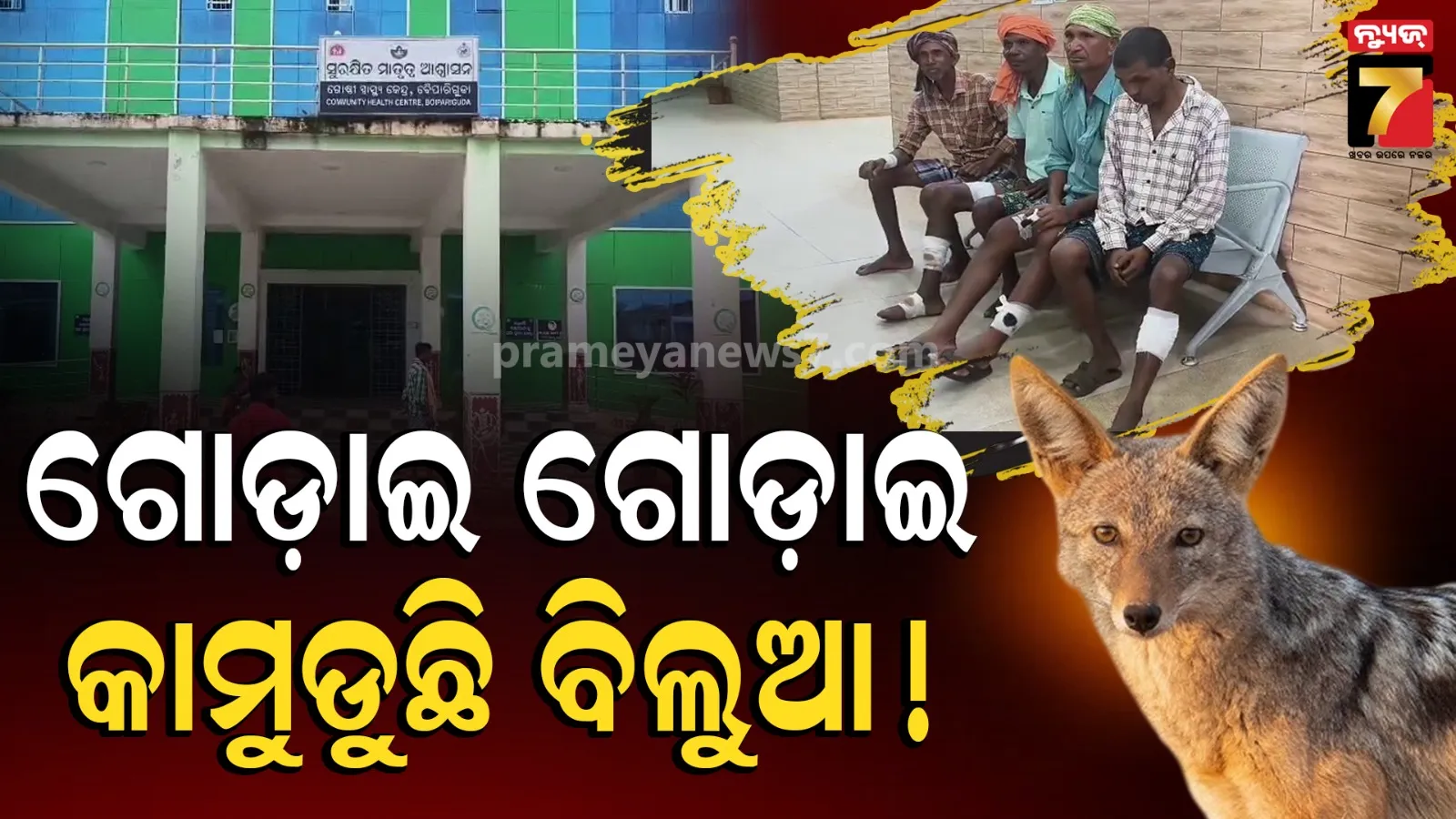 Boipariguda News