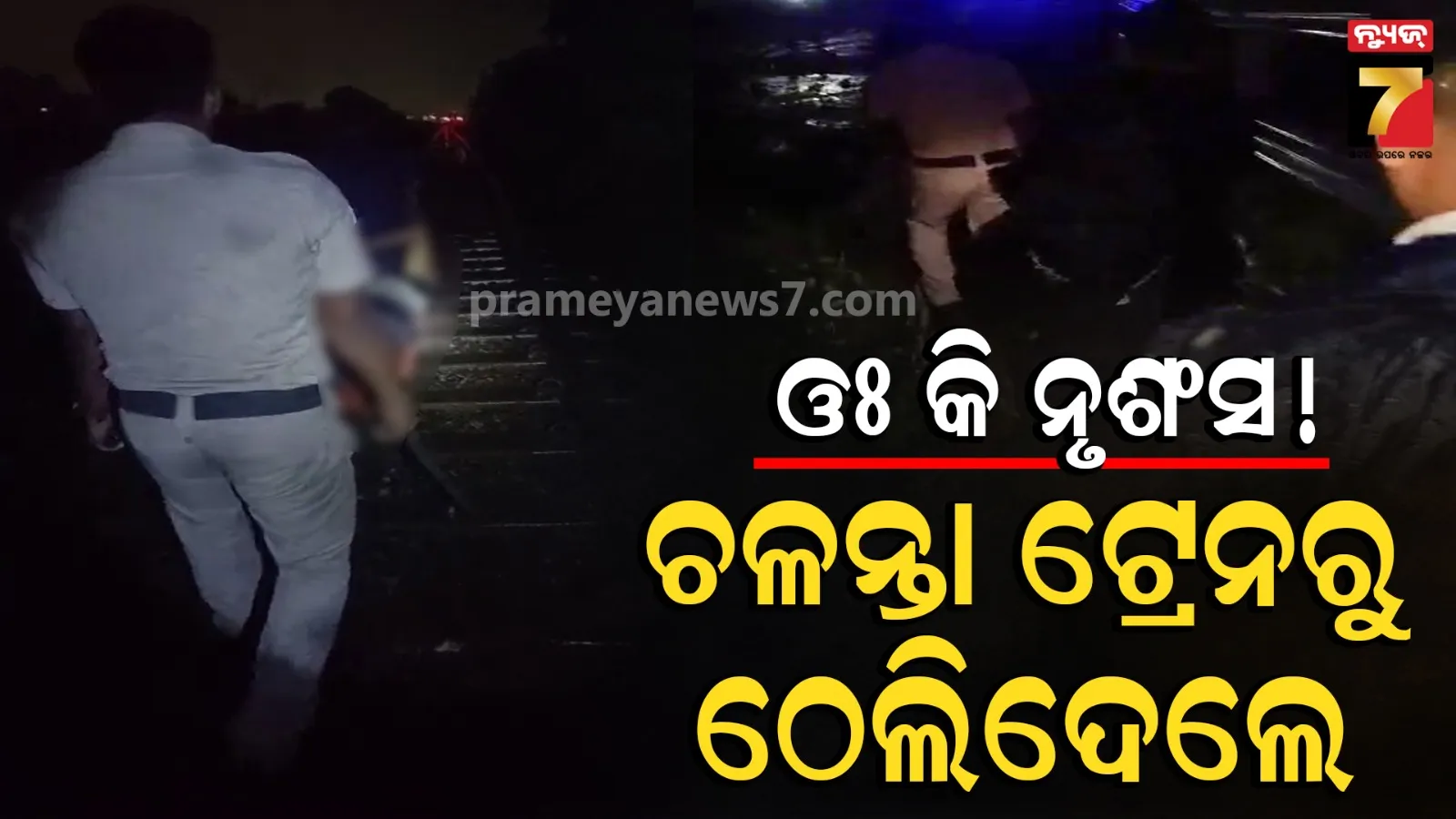 Passenger pushed from train