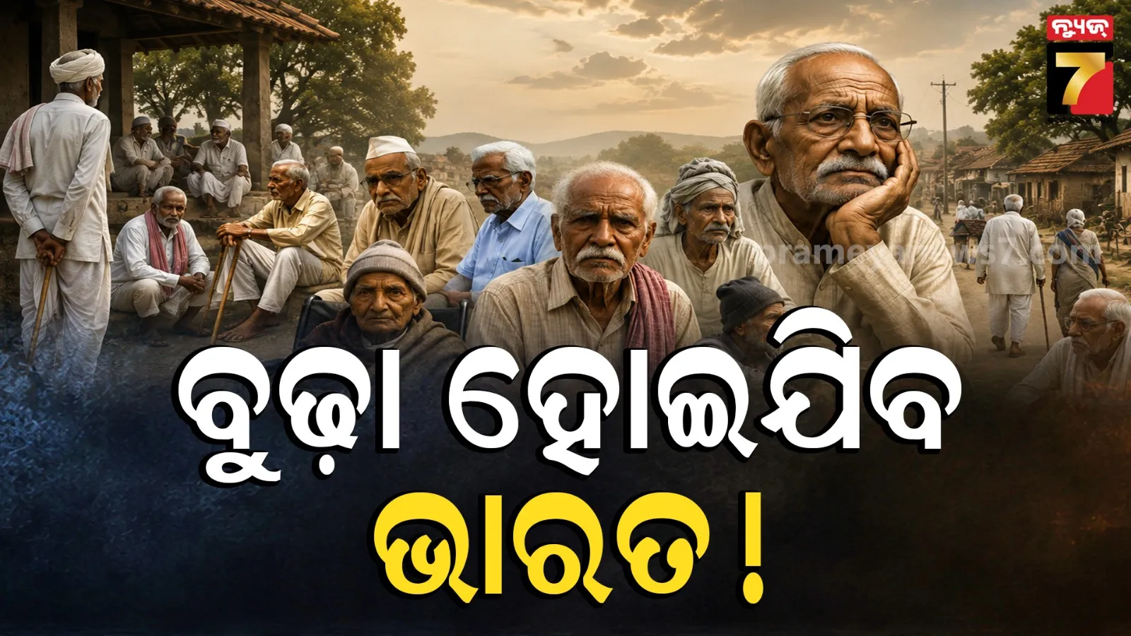 India elderly population