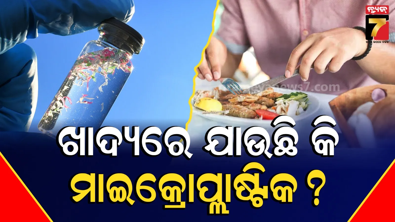 ଖାଦ୍ୟ ସହ ଆମ ଶରୀରକୁ ଯାଉଛି କି ମାଇକ୍ରୋପ୍ଲାଷ୍ଟିକ୍? ସଂସଦରେ ଗୁରୁତ୍ୱପୂର୍ଣ୍ଣ ତଥ୍ୟ ରଖିଲେ କେନ୍ଦ୍ର ସରକାର