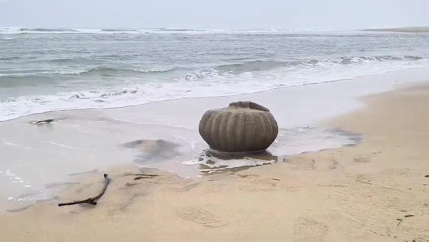 ସମୁଦ୍ରକୂଳରୁ ଆବିର୍ଭୂତ ହେଲା ମନ୍ଦିର, ବଢ଼ିଲା ଲୋକଙ୍କ ଉତ୍କଣ୍ଠା