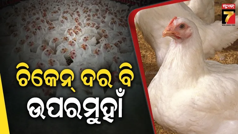 ପନିପରିବା ପରେ ଏବେ ଚିକେନ୍ ବଢ଼ାଇଲା ଚିନ୍ତା, ଦର ଟପିଲାଣି...