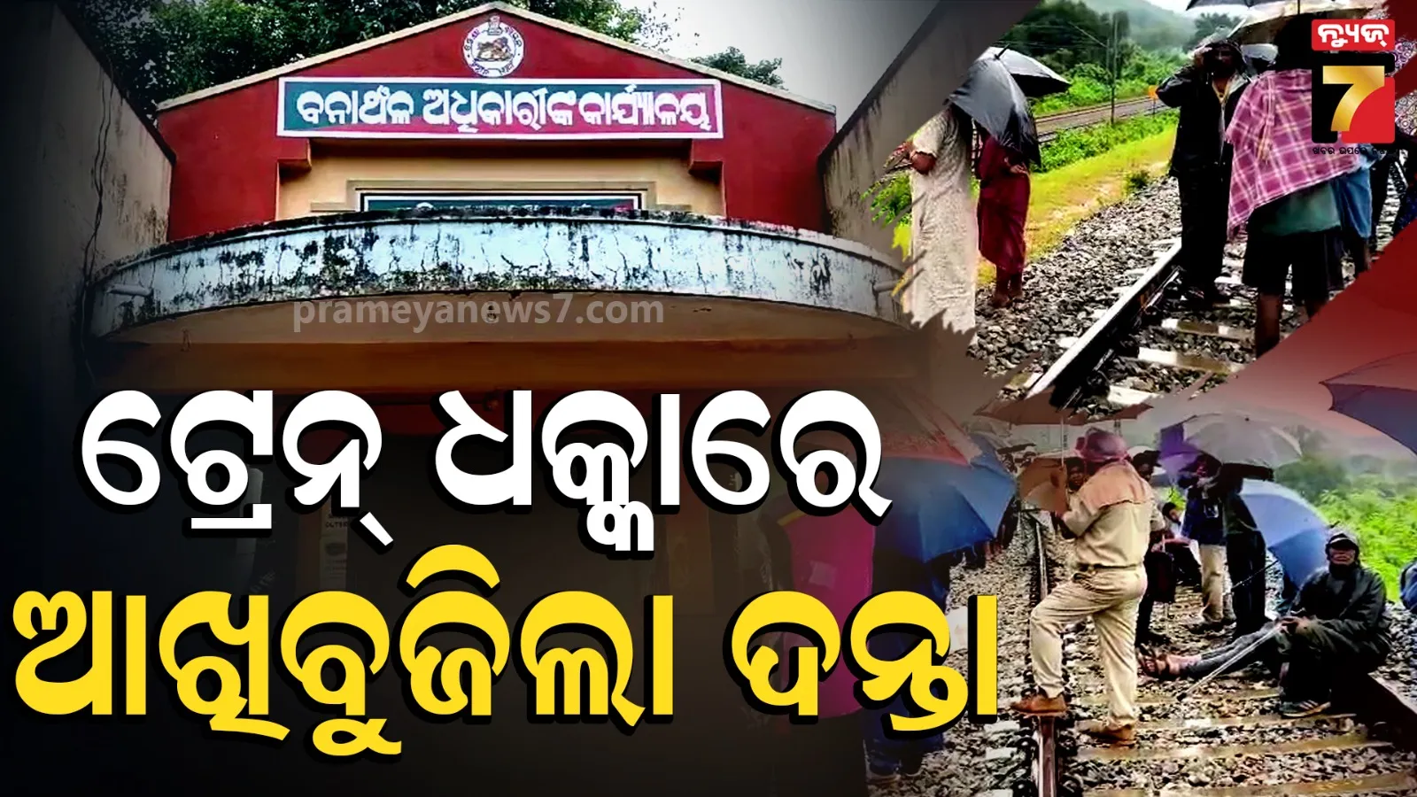 ମୁନିଗୁଡ଼ା ରେଞ୍ଜରେ ଅଘଟଣ: ଲୌହଦାନବ ଧକ୍କାରେ ଚାଲିଗଲା ଗଜରାଜର ଜୀବନ