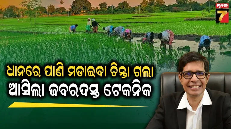 IIT Madras Precision Agriculture