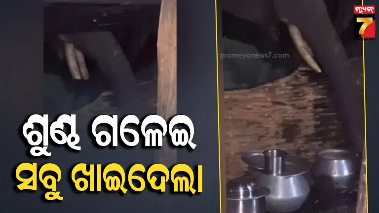 Tusker entered a house and ate food