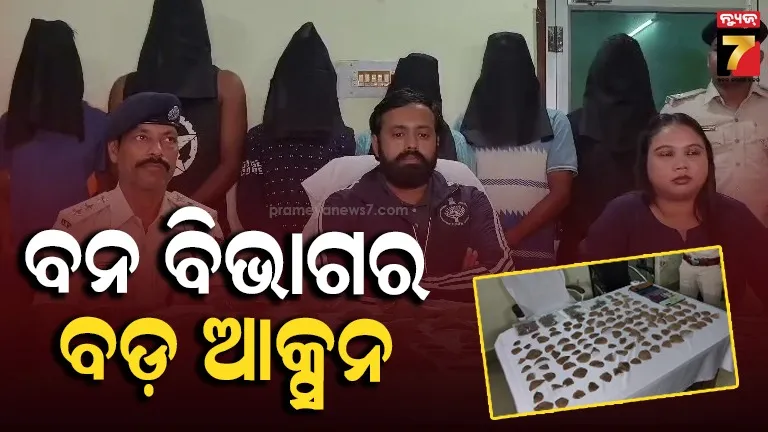 Pangolin scales smuggling: ବଜ୍ରକାପ୍ତା କାତି ଚୋରାଚାଲାଣ ବେଳେ ଧରାପଡ଼ିଲେ ୬ ଚାଲାଣକାରୀ, ୩୫୨ କାତି ଜବତ