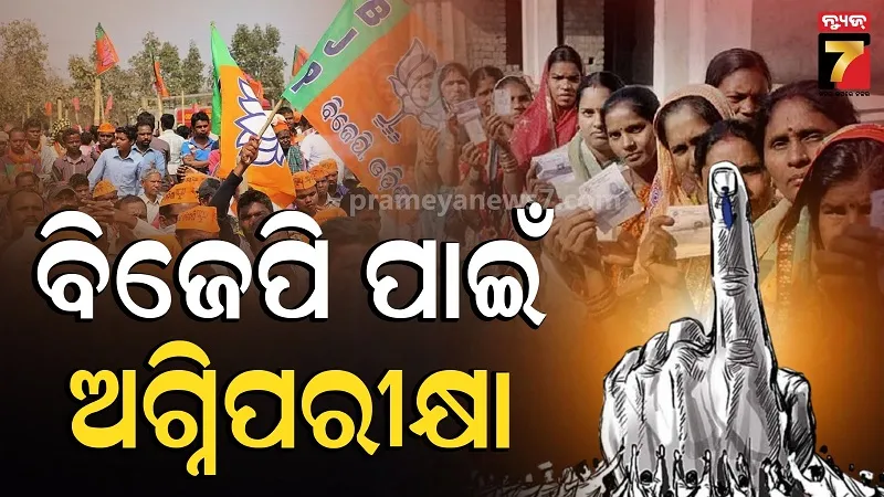  BJP to Rely on PM Modi Brand Image for Big Local Body Test