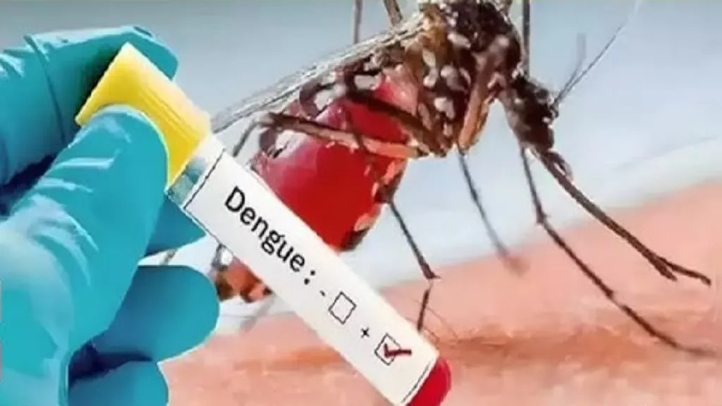 dengue
