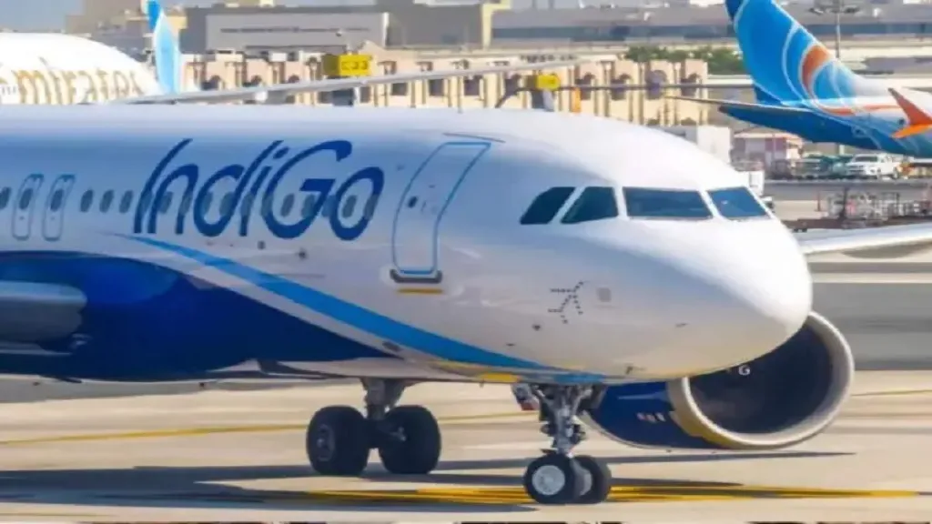Indigo
