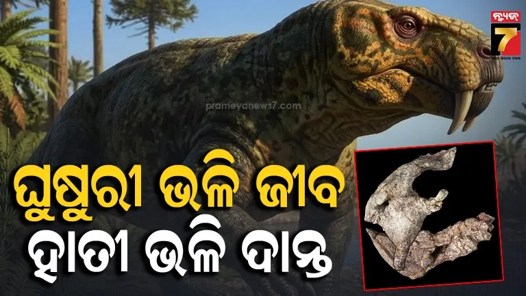 ମିଳିଲା ୨୪ କୋଟି ବର୍ଷ ପୁରୁଣା ଅଦ୍ଭୁତ ଜୀବର ଜୀବାଶ୍ମ: ବଦଳିବ ଡାଇନୋସର ବିବର୍ତ୍ତନର ଇତିହାସ !