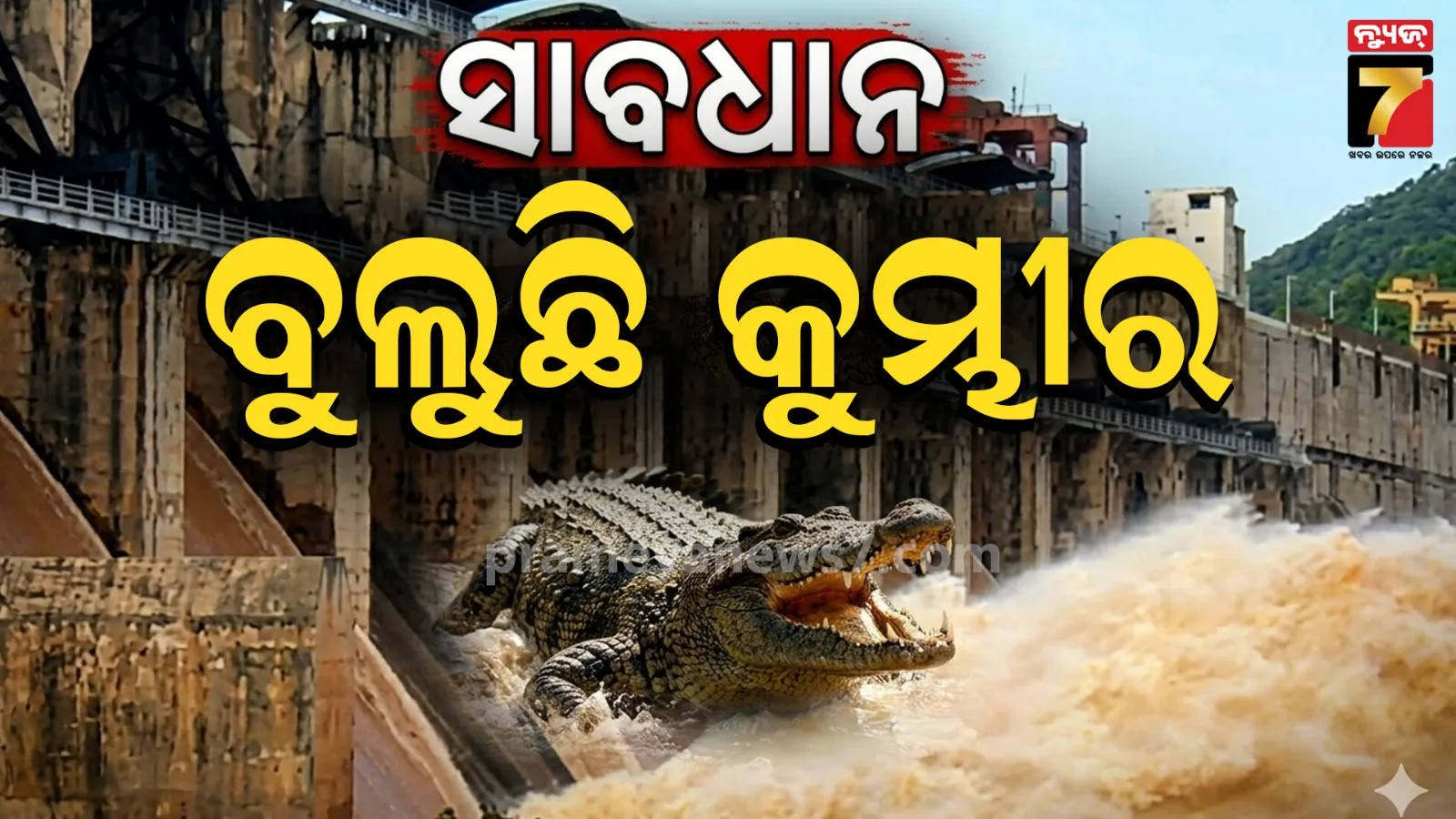 crocodile