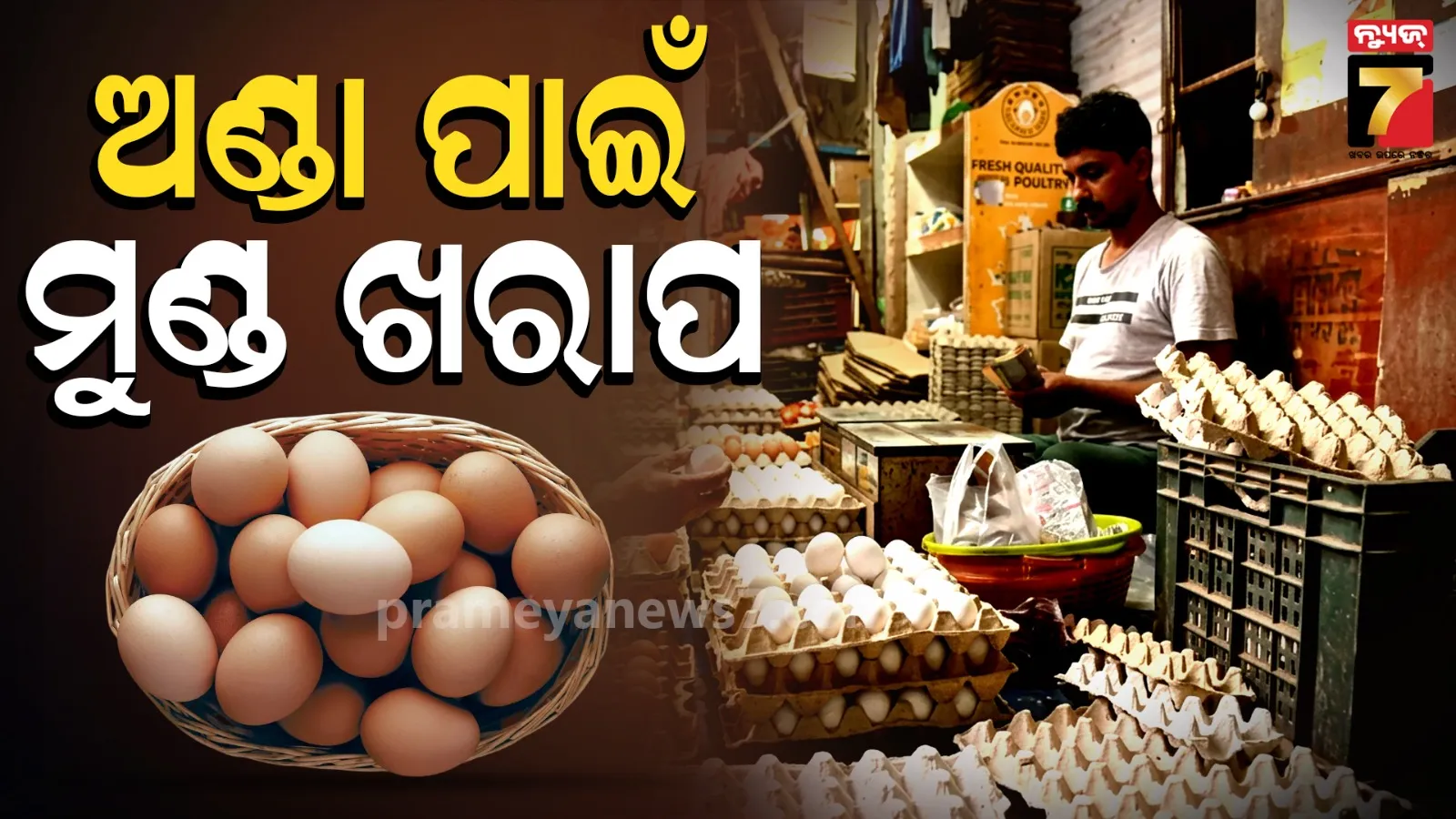 egg price