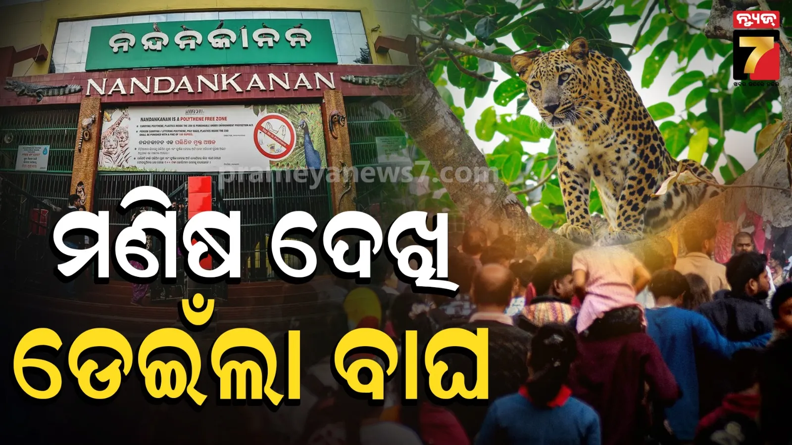nandankanan