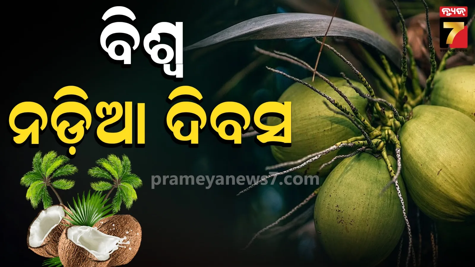 World Coconut Day 2026: ଅନୁମୋଦନ ଅପେକ୍ଷାରେ ‘କୋଣାର୍କ’ ନଡ଼ିଆ, ବର୍ଷକୁ ବାହାରିବ ୧୫୦ରୁ ଅଧିକ ଫଳ