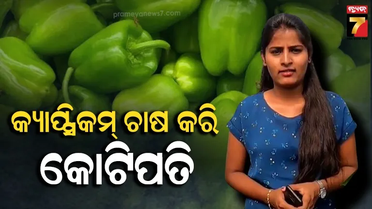 Capsicum Farming