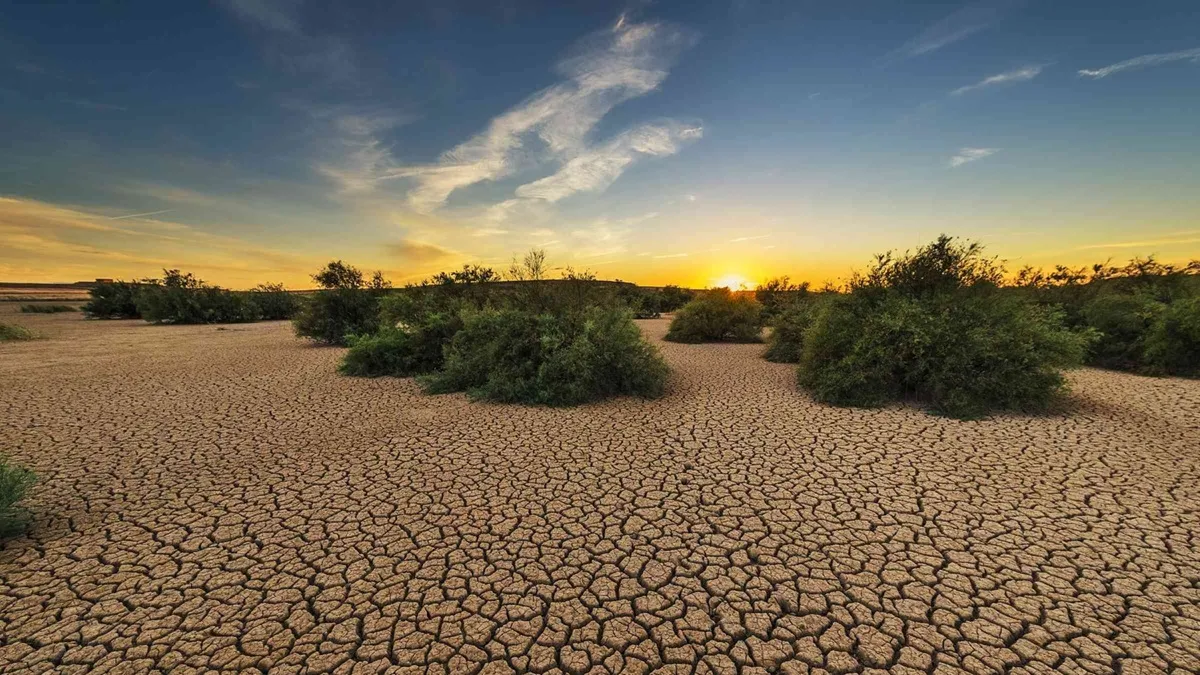 drought