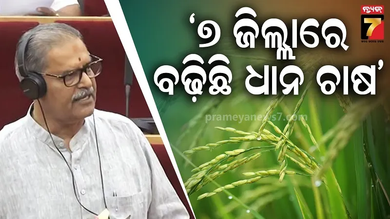 Rice Production: ରାଜ୍ୟର ୭ ଜିଲ୍ଲାରେ ବଢ଼ିଛି ଧାନ ଚାଷ, ବିଧାନସଭାରେ ତଥ୍ୟ ରଖିଲେ ଉପମୁଖ୍ୟମନ୍ତ୍ରୀ