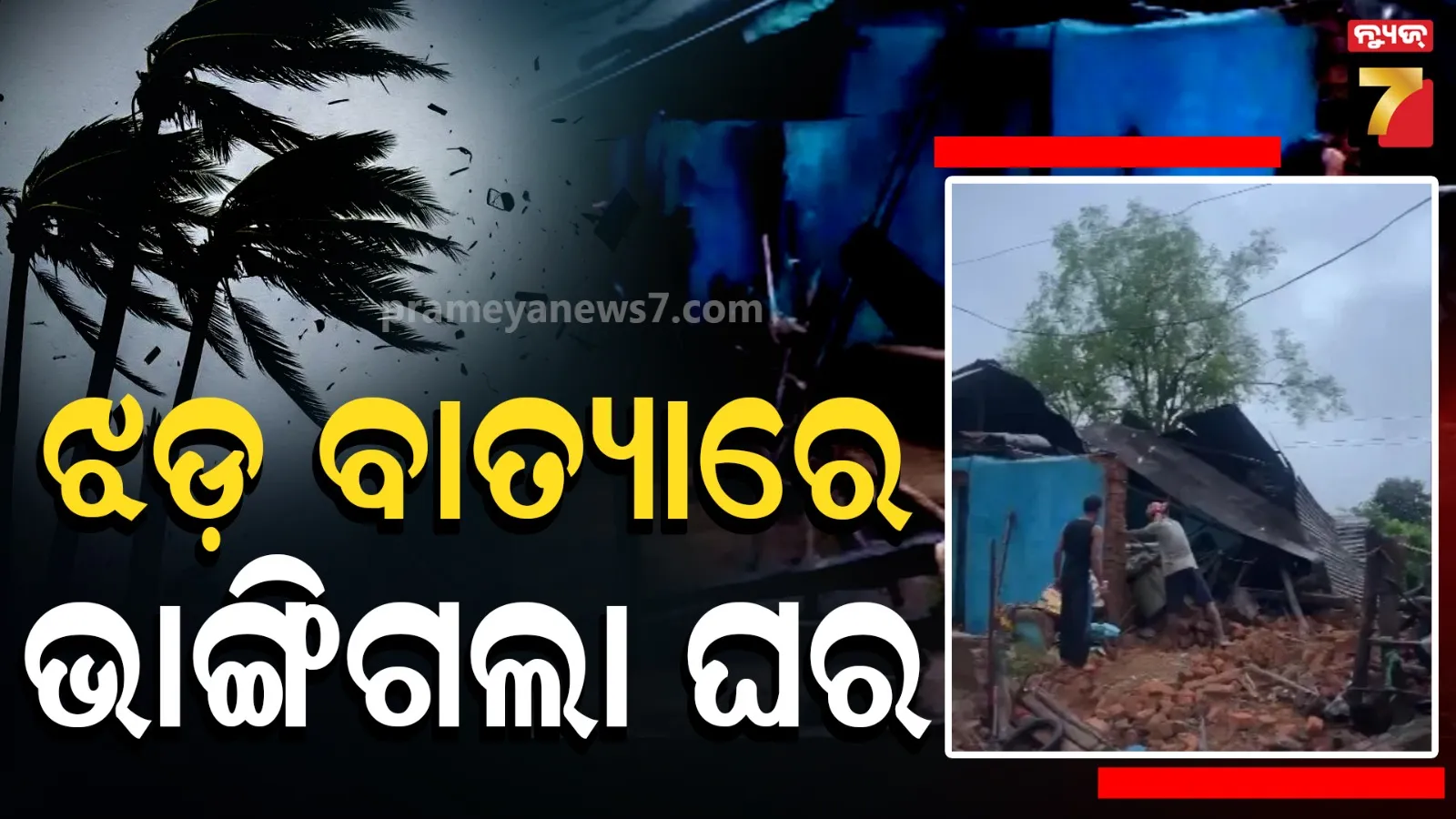 cyclone news