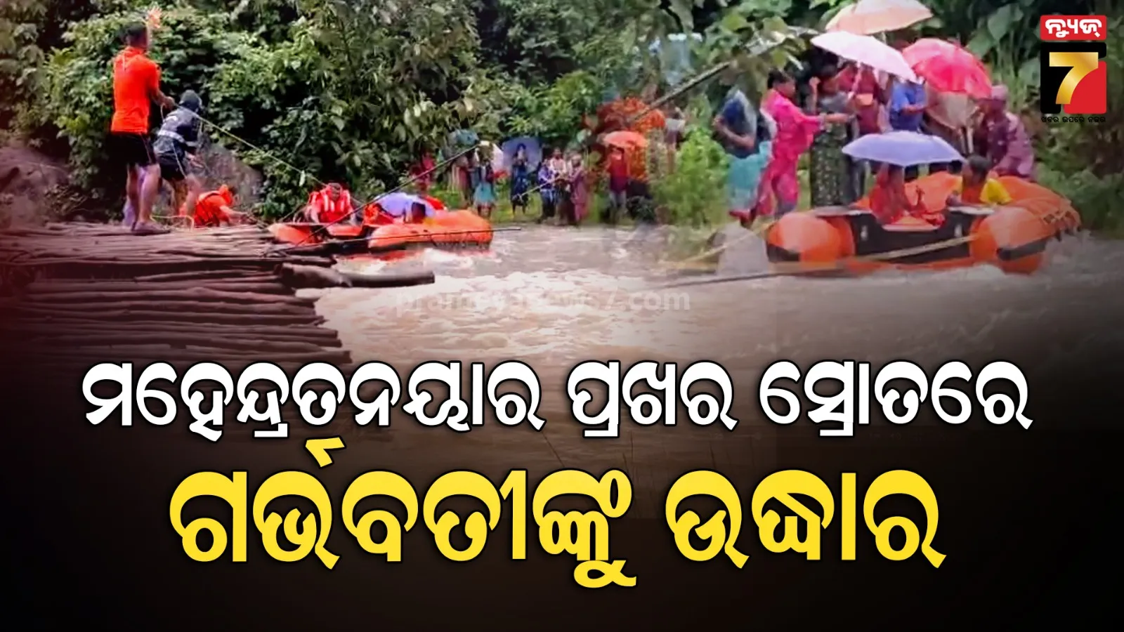 ପ୍ରତିକୂଳରେ ପରିସ୍ଥିତିରେ ଅଦ୍ୟମ ସାହାସ ଦେଖାଇଲେ ଓଡ୍ରାଫ୍ ଟିମ୍, ଗର୍ଭବତୀଙ୍କୁ ସୁରକ୍ଷିତ ଭାବରେ କଲେ ଉଦ୍ଧାର