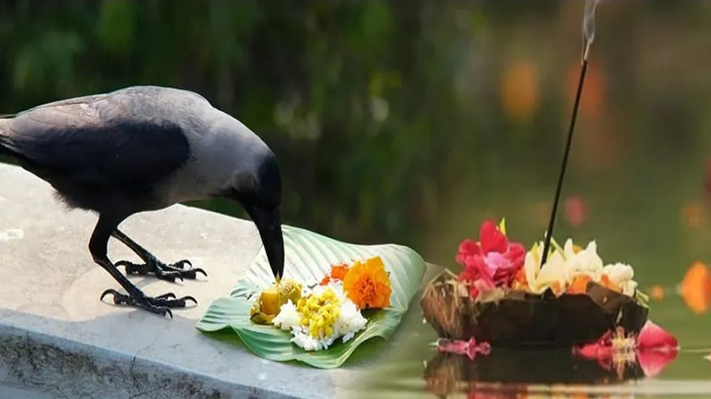 Indira Ekadashi