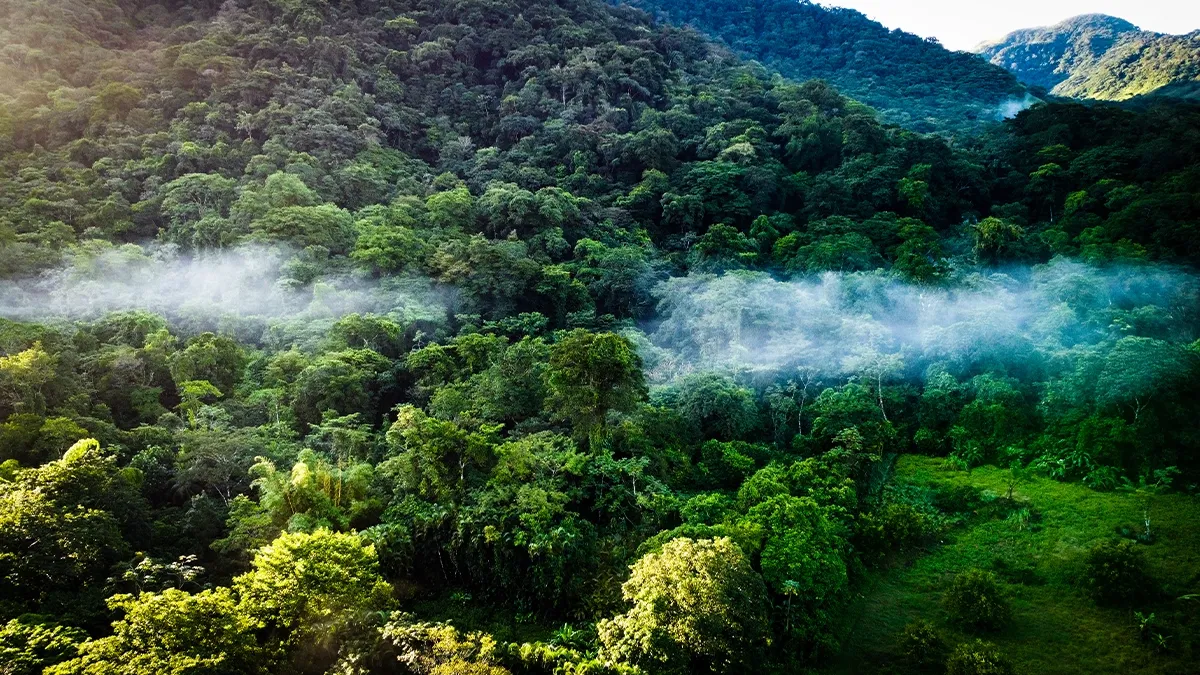 Is Earth Entering the Sixth Mass Extinction? Know What Science Says