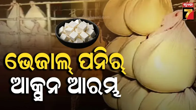 Duplicate paneer