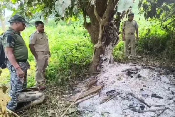 Gajapati 