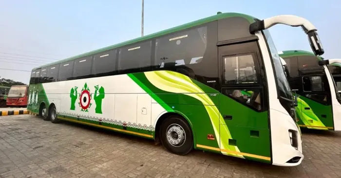 bus
