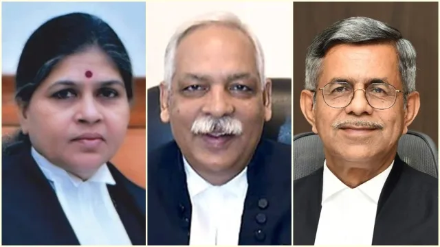 judge