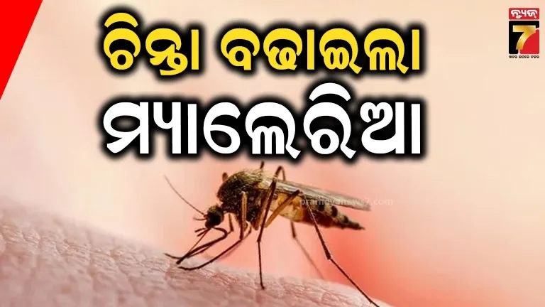 ରାଜ୍ୟରେ ଉତ୍କଟ ହେଉଛି ମ୍ୟାଲେରିଆ: ମାଲକାନଗିରିରେ ସ୍ଥିତି ସଙ୍ଗୀନ, କେବଳ ଗୋଟିଏ ଜିଲ୍ଲାରୁ ୨୪% ରୋଗୀ