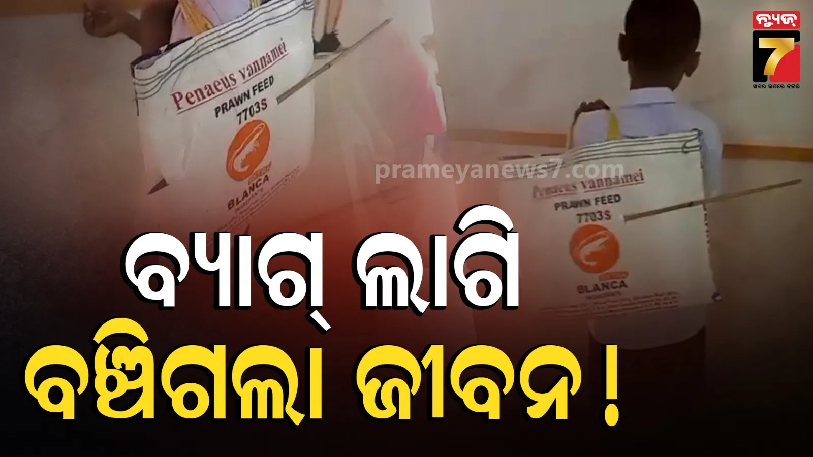 ସ୍କୁଲକୁ ଯିବା ବେଳେ ଛାତ୍ରଙ୍କୁ ତୀର ମାଡ଼, ଖାଇବା ଥାଳି ପାଇଁ ବର୍ତ୍ତିଗଲେ ଛାତ୍ର 