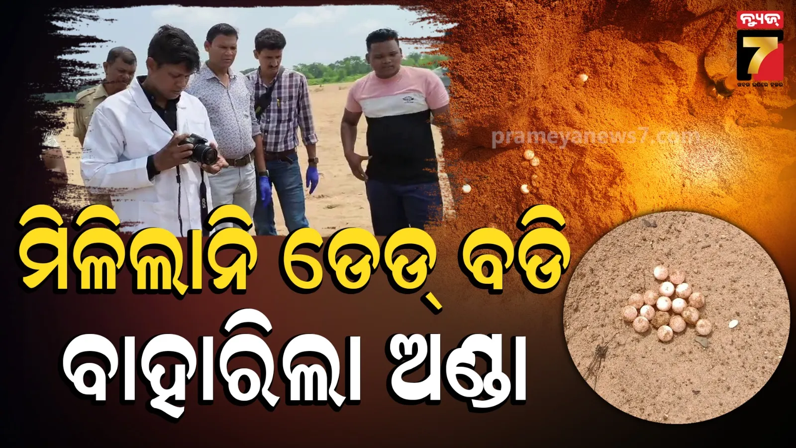 Bhubaneswar Mystery : ପୋଲିସ ଖୋଜୁଥିଲା ଡେଡ୍ ବଡି, ମିଳିଲା କଇଁଛ ଅଣ୍ଡା… 