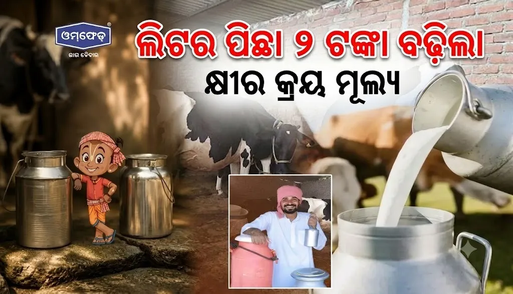 ଦୁଗ୍ଧ ଚାଷୀଙ୍କ ପାଇଁ ଖୁସି ଖବର : ସେପ୍ଟେମ୍ବର ୧୧ରୁ ବଢ଼ିବ କ୍ରୟ ମୂଲ୍ୟ, ଖୋଲିବ ୫୦୦ ଓମ୍‌ଫେଡ୍ ପାର୍ଲର