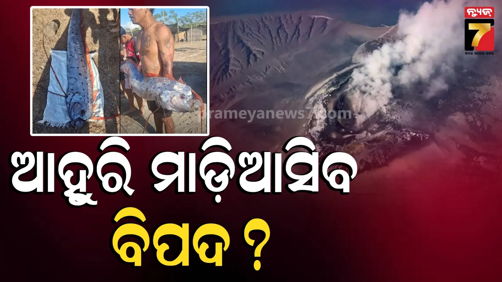 କୂଳରେ ଲାଗିଲା Doomsday fish: ଫାଟିଲାଣି ୬ ଜ୍ବାଳାମୁଖୀ, ନେପାଳ ବନ୍ୟା ସହ କ’ଣ କନେକ୍ସନ ?