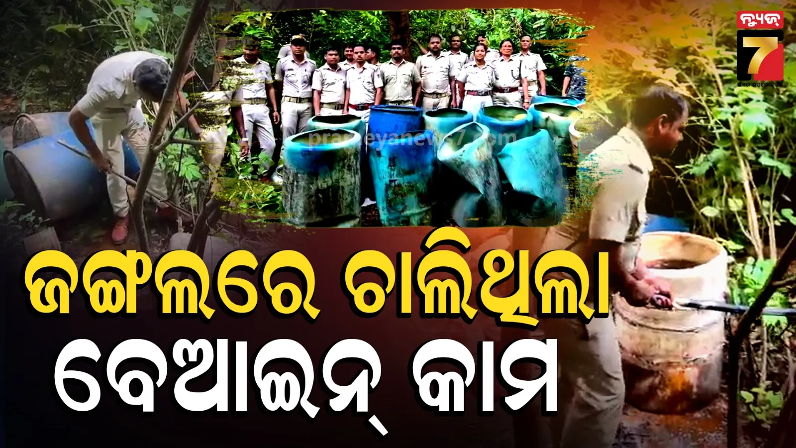 ଜଙ୍ଗଲରେ ଚାଲିଥିଲା ମଦ ପ୍ରସ୍ତୁତି, ଅବକାରୀ ବିଭାଗର ଚଢାଉରେ ବଡ଼ ରାକେଟ୍‌ର ହେଲା ପର୍ଦ୍ଦାଫାଶ୍