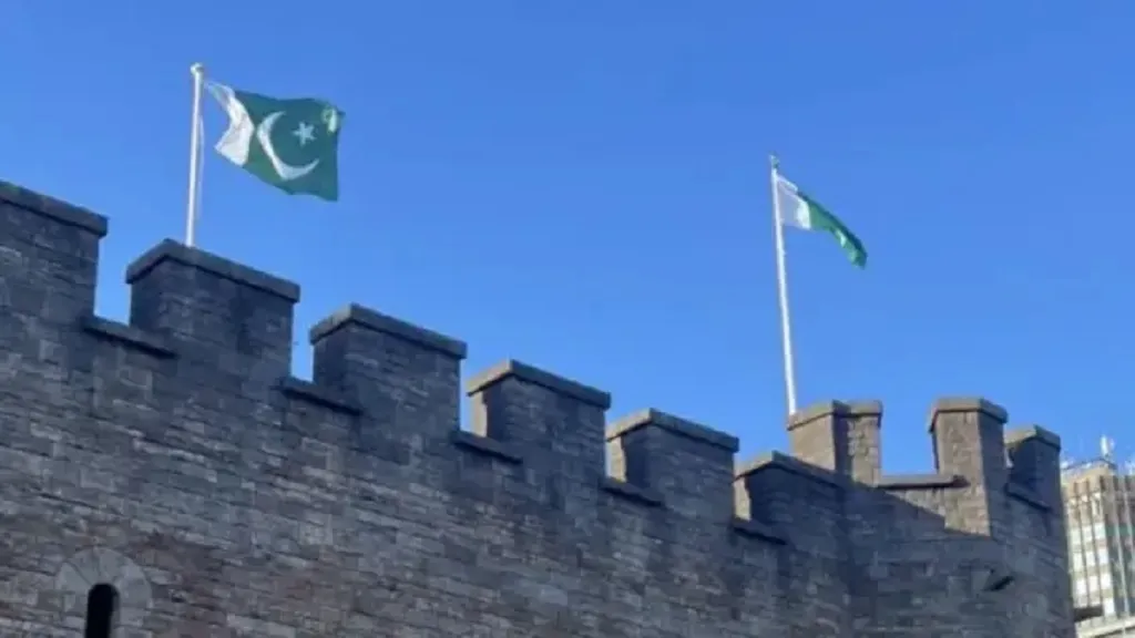Pakistani flag